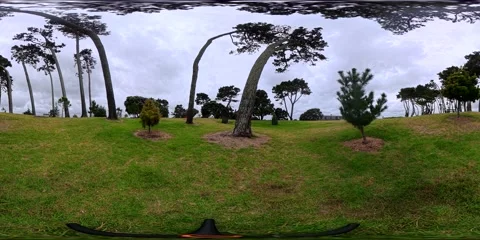 Coastal Park with Wind Bent Trees - VR360 VR 360VR New Zealand Stock Footage 331553957