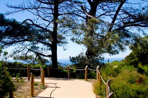 Coastal Path in Cabrillo Stock Photos