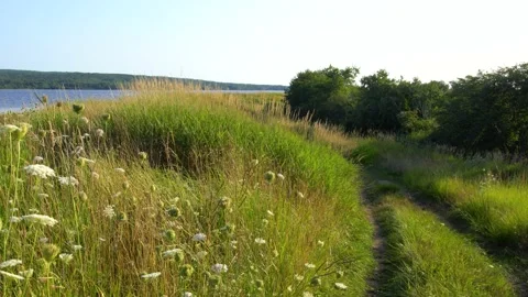 A coastal path Stock Footage 158988156