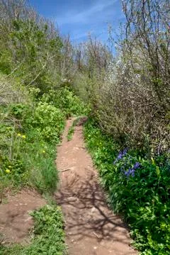Coastal path in spring Stock Photos
