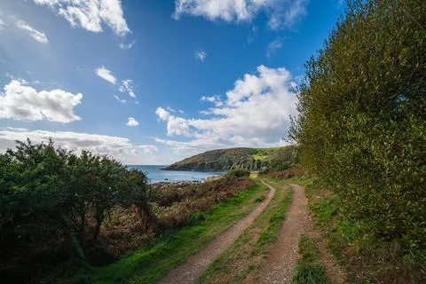 Coastal path winds through greenery towards the sea near Looe, Cornwall 写真素材