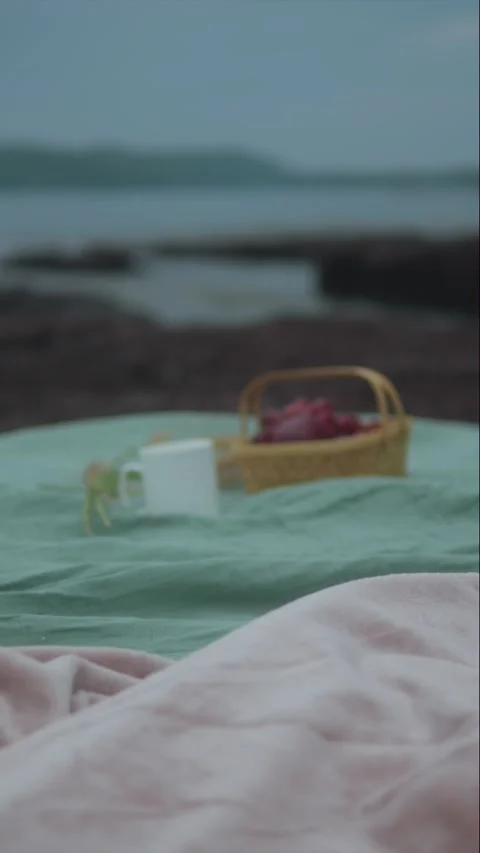 Coastal Picnic With Focus Pull Stock Footage 332961332