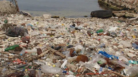 Coastal pollution Video stock 29905017