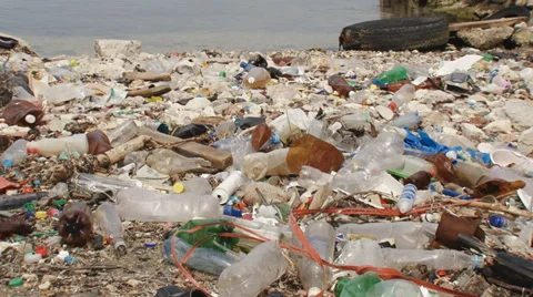 Coastal pollution Stock Footage 29931075