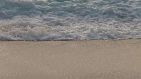 Coastal reeds Stock Footage 301818445