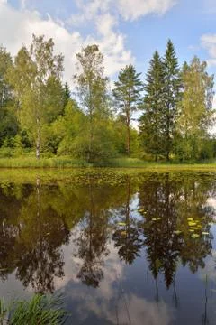 The coastal reflection of the trees in the smooth surface of the water of the Foto stock