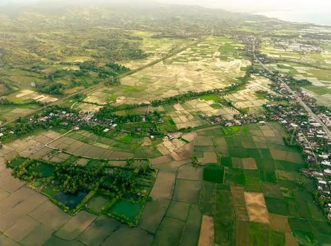 Coastal Rice Fields Sunset Stock Photos