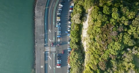 Coastal road curves, parking, and harbor. Okahu Bay, Auckland, New Zealand Stock Footage 296043953
