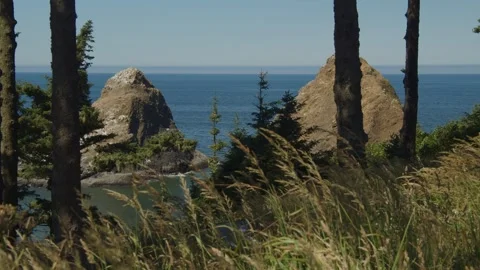 Coastal rock formations Stock Footage 262793384