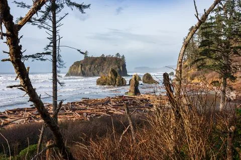 Coastal Rock Formations at Ruby Beach in Olympic National Park in Washingto.. Stock Photos