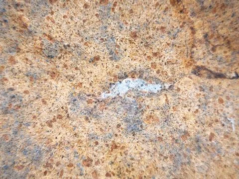 Coastal Rock Surface Texture Stock Photos
