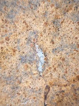 Coastal Rock Surface Texture Stock Photos