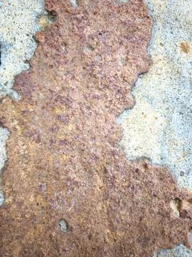Coastal Rock Surface Texture Stock Photos
