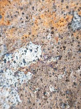 Coastal Rock Surface Texture Stock Photos