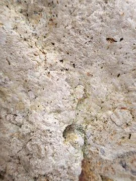 Coastal Rock Surface Texture Stock Photos
