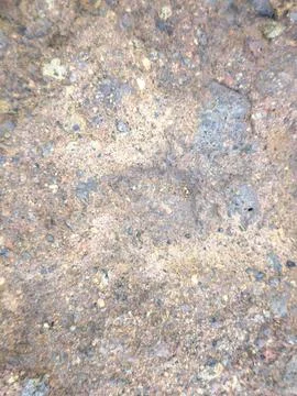 Coastal Rock Surface Texture Stock Photos