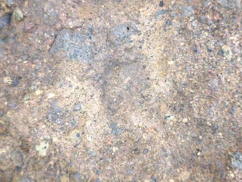 Coastal Rock Surface Texture Stock Photos