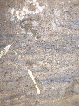 Coastal Rock Surface Texture Stock Photos
