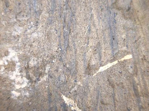 Coastal Rock Surface Texture Stock Photos