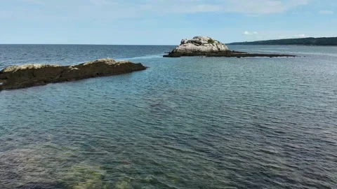 Coastal rocks surrounded by seaweed at low tide in Quebec, Canada 스톡 동영상 345452045