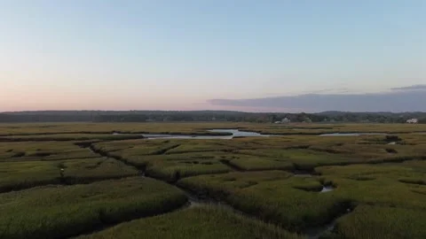Coastal salt marsh. Stock Footage 262801328