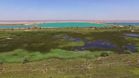 Coastal salt marshes, aerial video Stock Footage