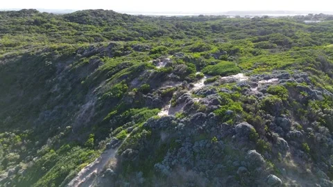 Coastal Sand Dunes and Native Bushland at Venus Bay Vidéo 334836204