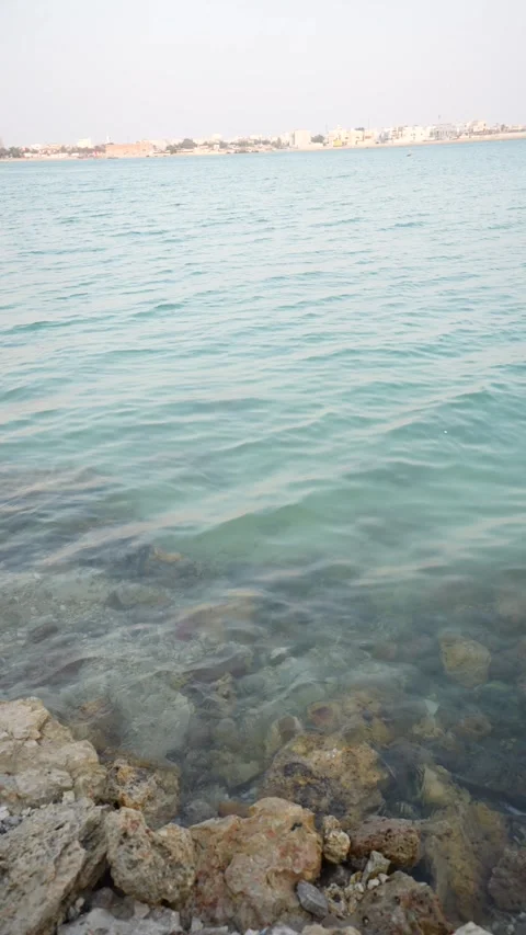 Coastal Scene Stock Footage 315787086