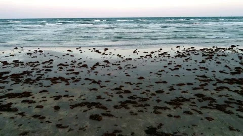 Coastal Scene: Tranquil Ocean Waves and Rocky Shore at Dusk Stock Footage 311653864