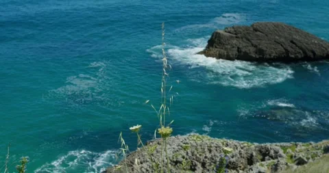 Coastal Serenity: Stock Footage 343668867