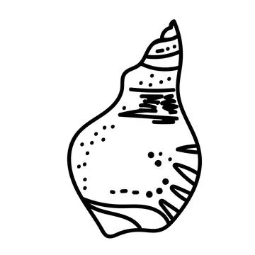 Coastal shell illustration in minimal vector outline. Stock Illustration