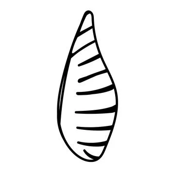 Coastal shell illustration in minimal vector outline. Stock Illustration