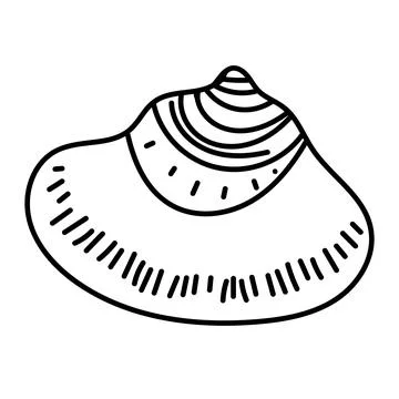 Coastal shell illustration in minimal vector outline. イラスト素材
