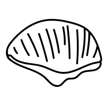 Coastal shell illustration in minimal vector outline. Stock Illustration