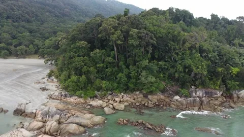 Coastal shot as drone pulls back to reveal cape with forest on top of a hill Video stock 246178515