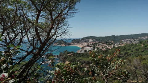 Coastal Spain 動画素材 310892406