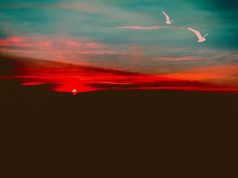 Coastal sunset featuring two birds flying in the dark red and blue sky Stock Photos