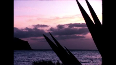 Coastal Sunset Video stock 278217569