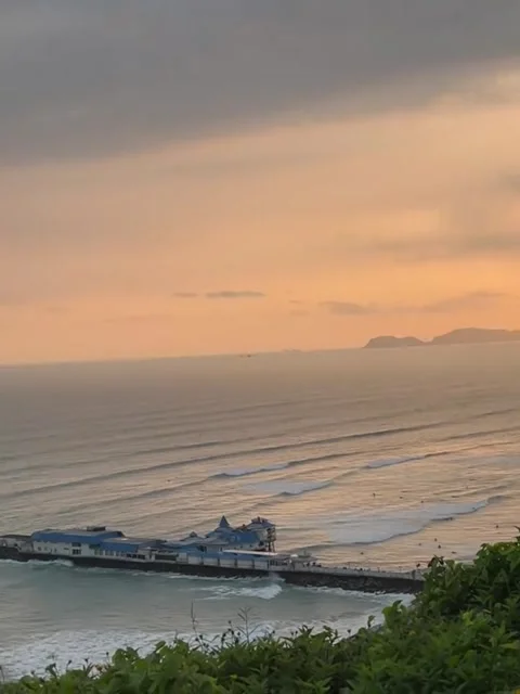 Coastal Sunset Over Ocean and Greenery Stock Footage 341317215
