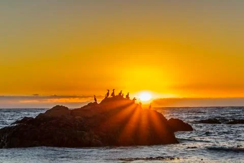 Coastal Sunset Stock Photos