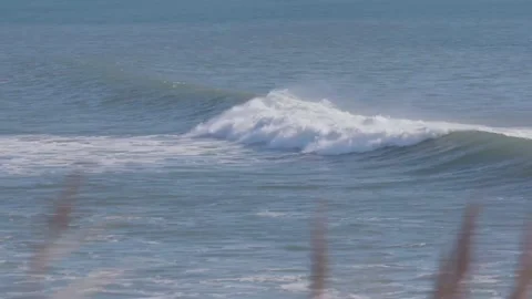 Coastal Surfers Stock-Footage 134741934