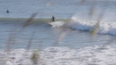 Coastal Surfers Stock Footage 134741960