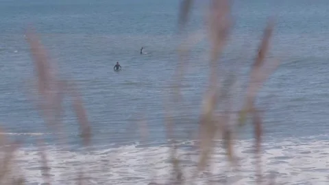 Coastal Surfers Stock Footage 134742113