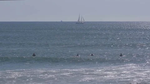 Coastal Surfers Stock Footage 134742121