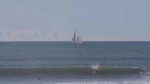 Coastal Surfers Stock Footage 134742134