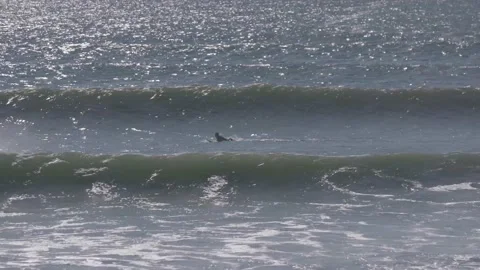 Coastal Surfers Stock Footage 134742161