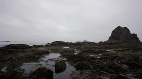 Coastal Tidal Pools Stock Footage 282112311