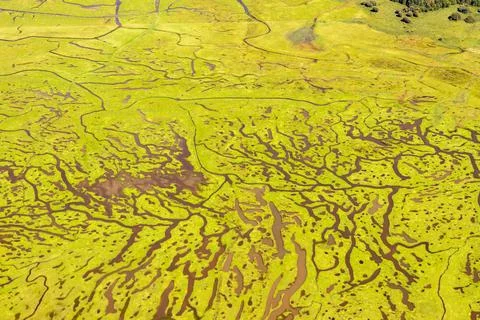 Coastal Tide Patterns Stock Photos