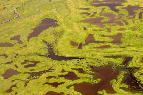 Coastal Tide Patterns Stock Photos