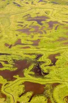 Coastal Tide Patterns Stock Photos